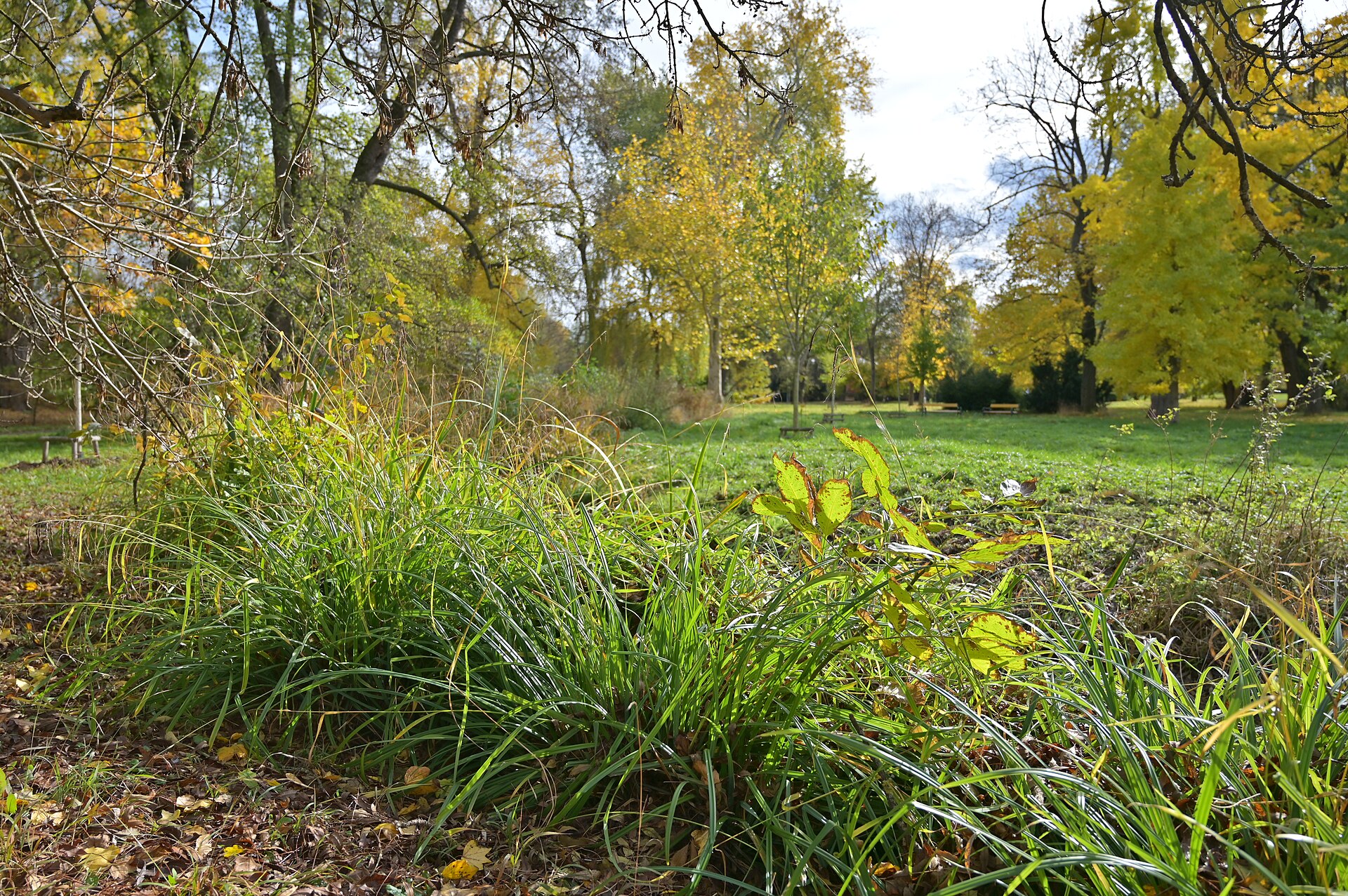 Lužánky Park in Brno