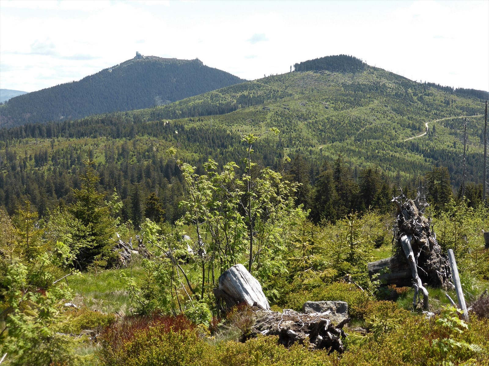 Engagement Photos in the Bavarian Forest