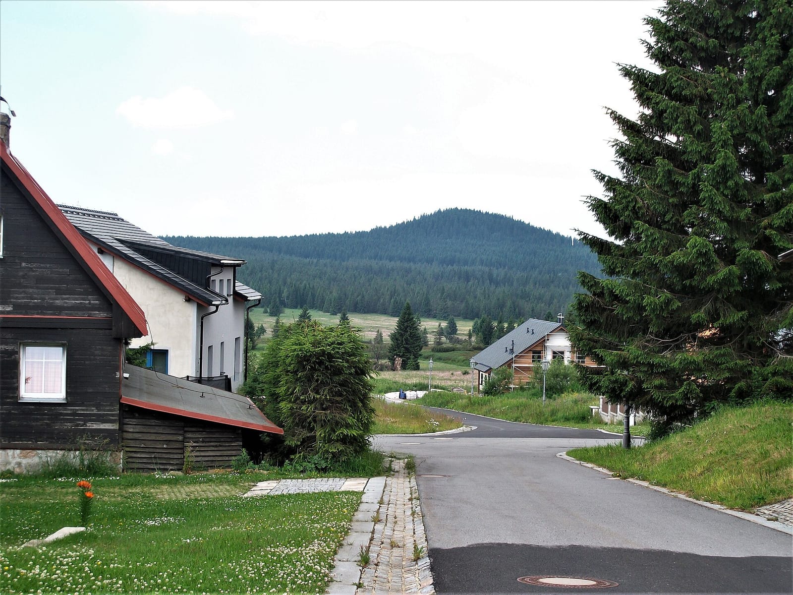 Engagement Photos in the Ore Mountains