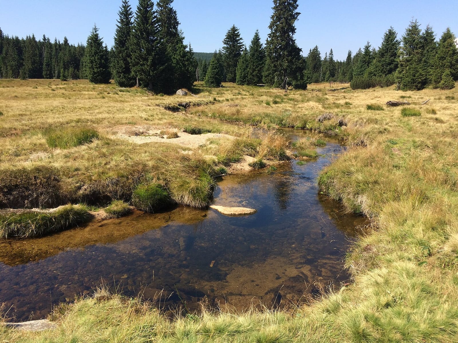 Granite tors and forest in the Jizera Mountains