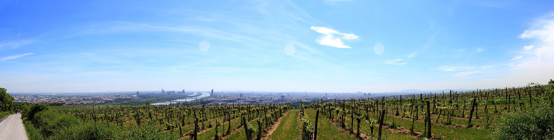 Kahlenberg in Vienna